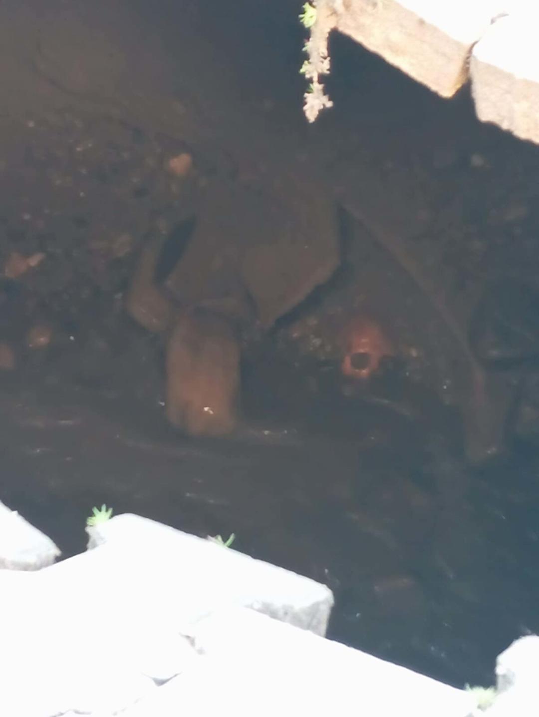 Yer: Manisa! Yağışlardan &ccedil;&ouml;ken yolda insan kafatası ve kemikler bulundu 2