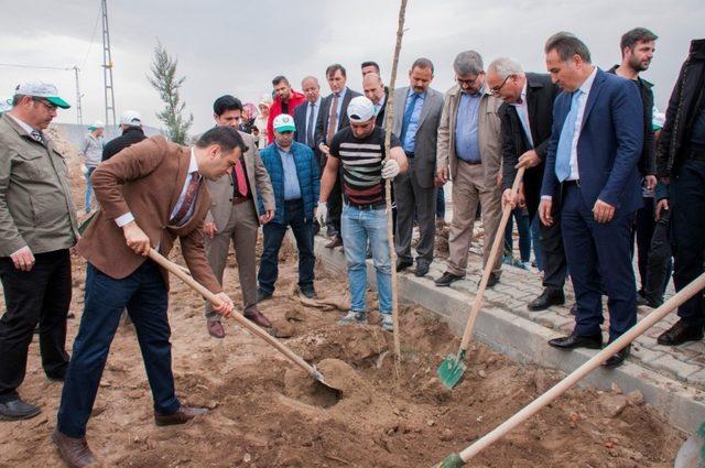 Şehit B&uuml;lent Yurtseven Kamp&uuml;s&uuml;nde ağa&ccedil; dikimi 1