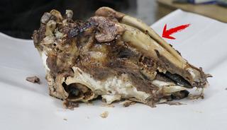 Enerji ve şifa kaynağı: &Uuml;rk&uuml;t&uuml;c&uuml; g&ouml;r&uuml;nt&uuml;s&uuml;ne rağmen afiyetle t&uuml;ketiliyor!