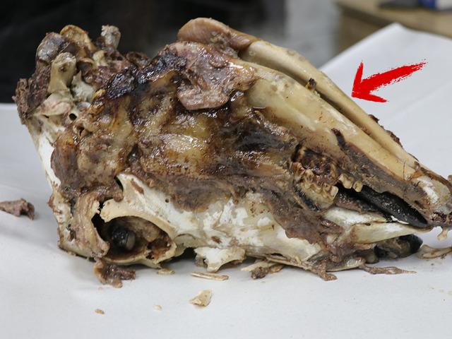 Enerji ve şifa kaynağı: &Uuml;rk&uuml;t&uuml;c&uuml; g&ouml;r&uuml;nt&uuml;s&uuml;ne rağmen afiyetle t&uuml;ketiliyor!