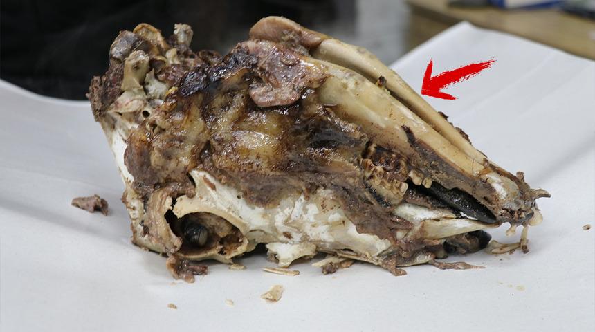 Enerji ve şifa kaynağı: &Uuml;rk&uuml;t&uuml;c&uuml; g&ouml;r&uuml;nt&uuml;s&uuml;ne rağmen afiyetle t&uuml;ketiliyor!