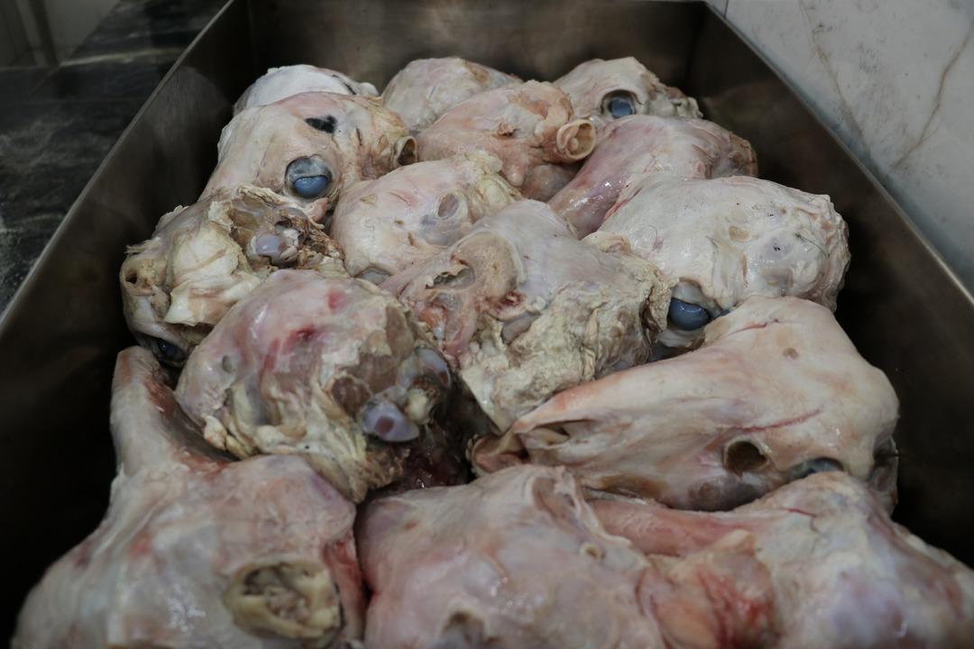 Enerji ve şifa kaynağı: &Uuml;rk&uuml;t&uuml;c&uuml; g&ouml;r&uuml;nt&uuml;s&uuml;ne rağmen afiyetle t&uuml;ketiliyor! 2