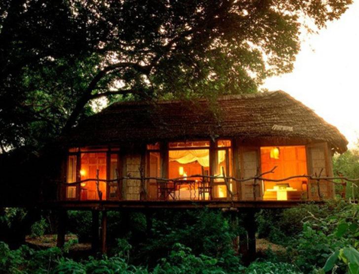 En lüks 9 safari yolculuğu G4