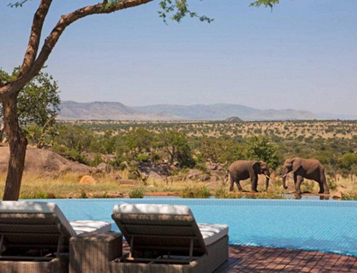 En lüks 9 safari yolculuğu G5