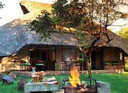 En lüks 9 safari yolculuğu