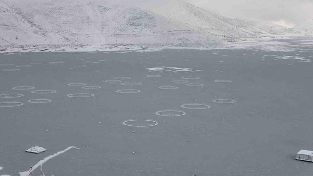 Adıyaman&rsquo;da &Ccedil;at Barajı&rsquo;nın y&uuml;zeyi buz tuttu 3