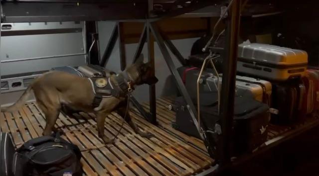 Osmaniye&rsquo;de otob&uuml;s bagajından uyuşturucu &ccedil;ıktı: 1 tutuklama 2