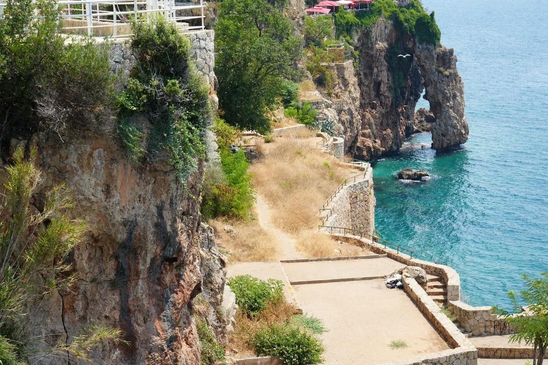 Eşi benzeri yok, sadece T&uuml;rkiye de! Yok olma tehlikesi ile karşı karşıya 1