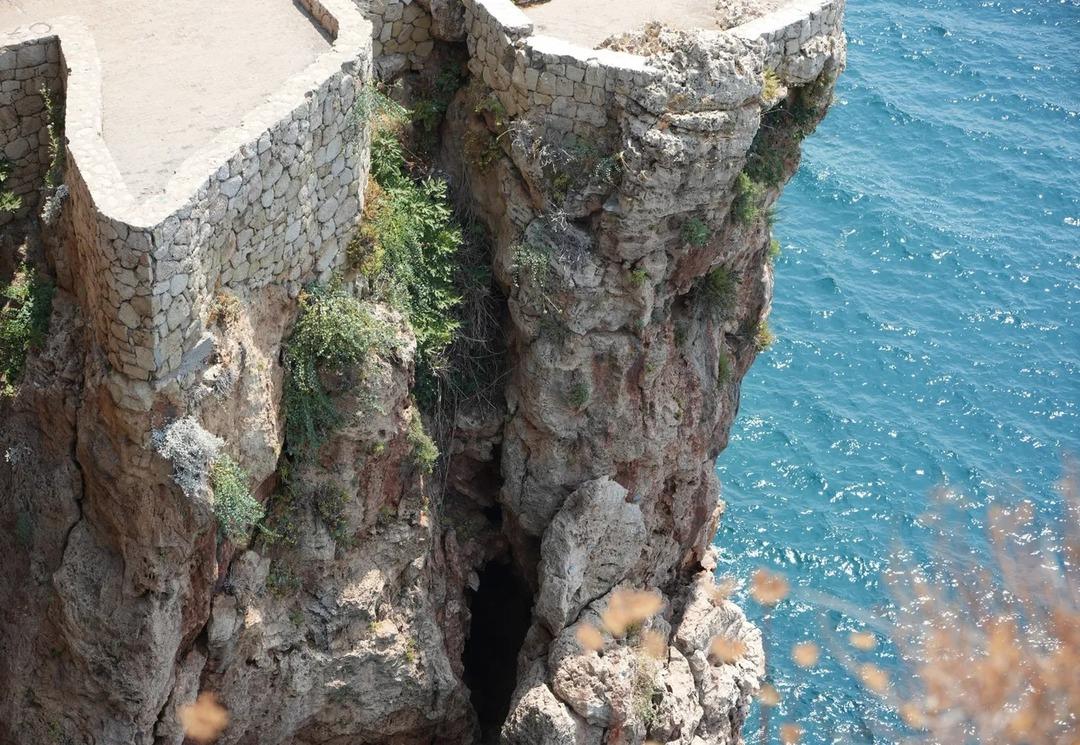 Eşi benzeri yok, sadece T&uuml;rkiye de! Yok olma tehlikesi ile karşı karşıya 4