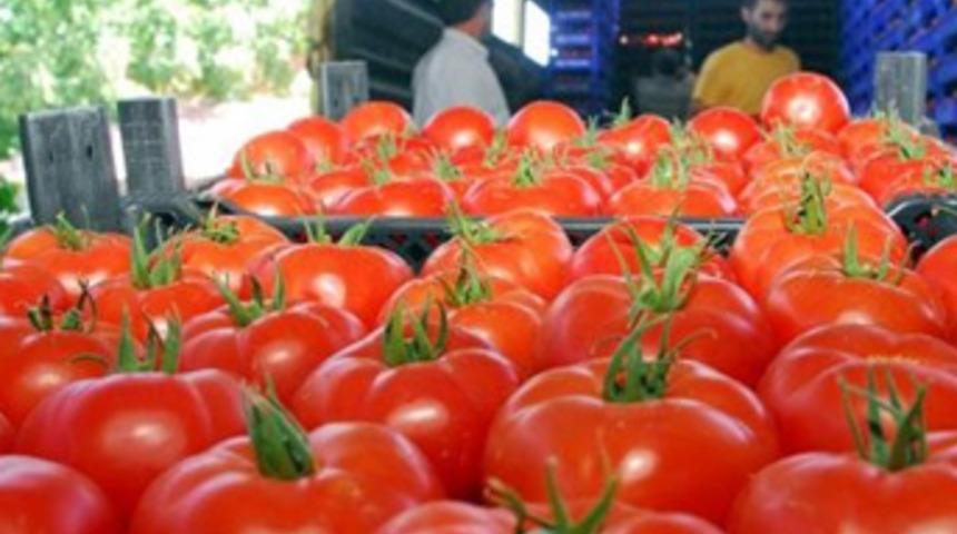 25 ton domatesi Türkiye'ye geri gönderdi