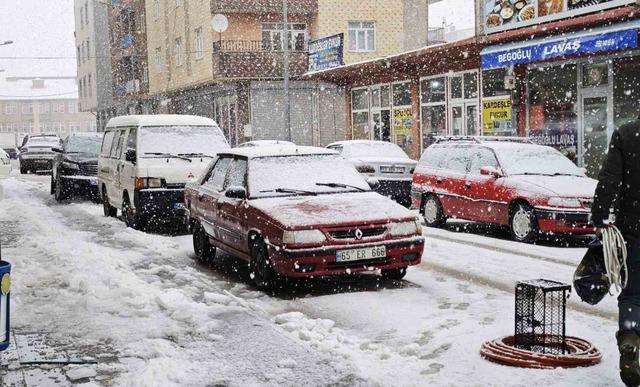 Ahlat’ta yoğun kar yağışı 3