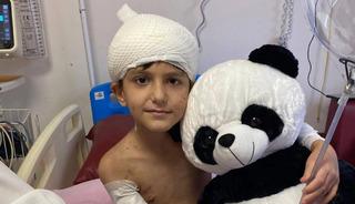 20 k&ouml;peğin saldırısına uğramıştı! 5 milyon lira tazminat &ouml;denecek