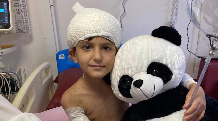 20 k&ouml;peğin saldırısına uğramıştı! 5 milyon lira tazminat &ouml;denecek: "ABB'den talep edeceğiz"