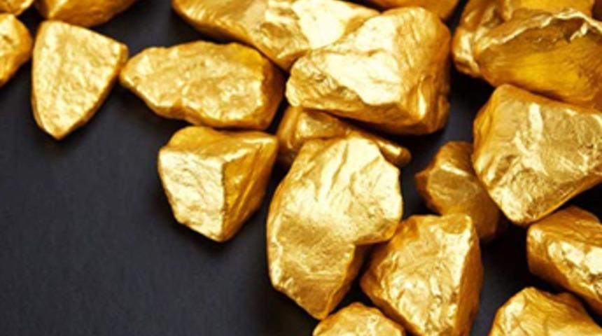 İnsan dışkısından altın elde edecekler!