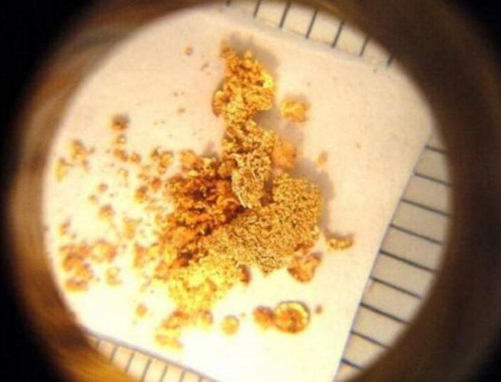 İnsan dışkısından altın çıktı G1