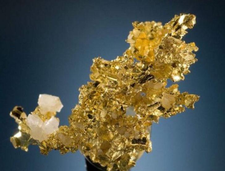 İnsan dışkısından altın çıktı G2