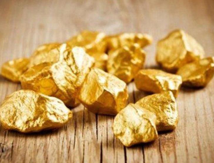 İnsan dışkısından altın çıktı G3