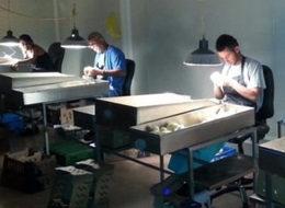 Ayda 12 bin lira kazandıran meslek: seksör