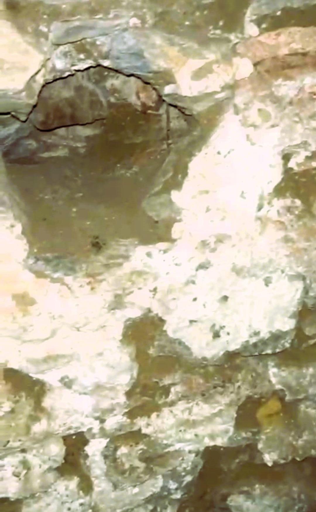 İ&ccedil;inden sesler geliyordu! 300 yıllık hamamı kontrol edince g&ouml;rd&uuml;ler!  1