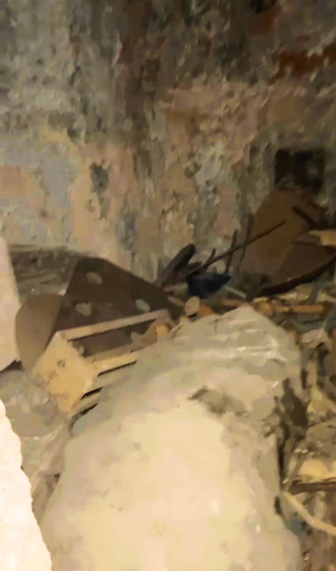 İ&ccedil;inden sesler geliyordu! 300 yıllık hamamı kontrol edince g&ouml;rd&uuml;ler!  2