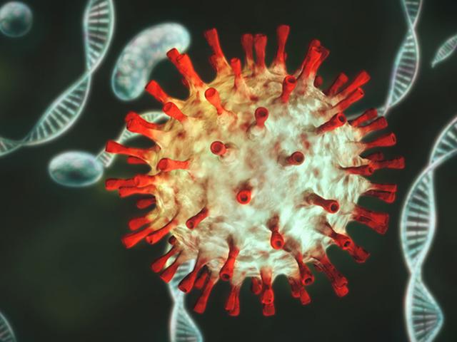 Salgın kapıda mı? İla&ccedil;lara diren&ccedil;li &ouml;l&uuml;mc&uuml;l alarm!