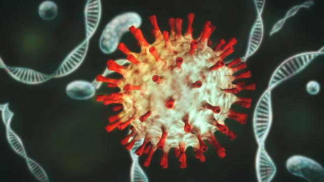 Salgın kapıda mı? Bu mantar her şeye dirençli! 60 ülkeye yayıldı