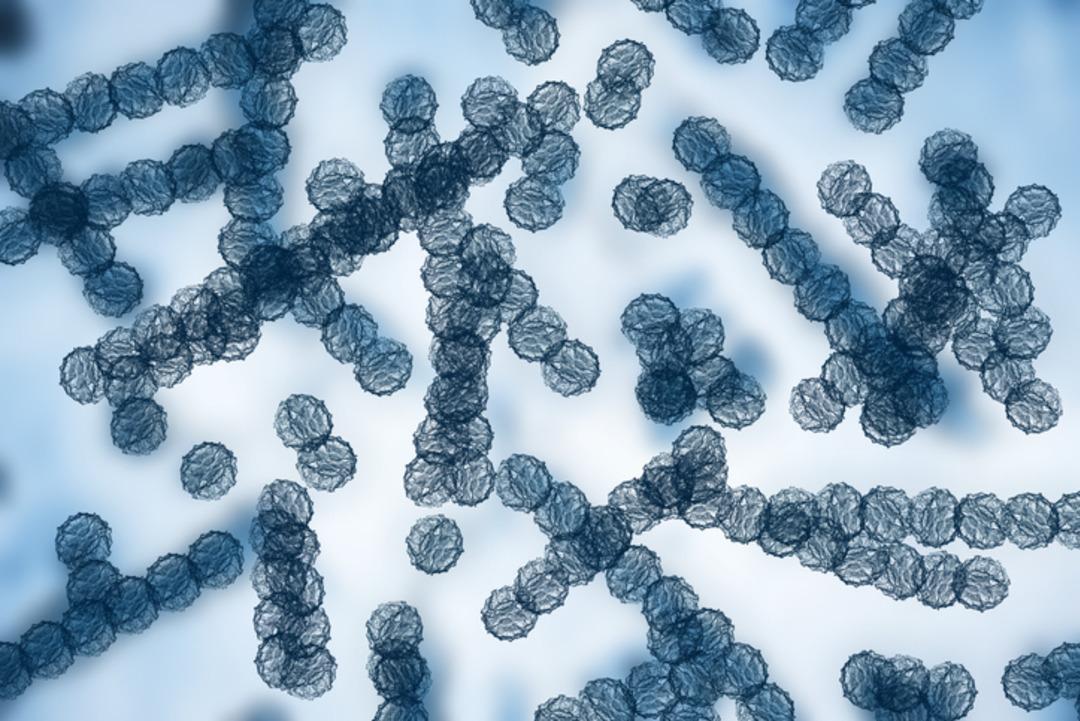 Salgın kapıda mı? Bu mantar her şeye diren&ccedil;li! 60 &uuml;lkeye yayıldı 3