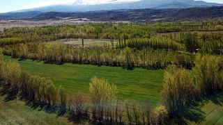 2B arazilerinde ödemeleri yapmayanlara ek süre tanınacak!