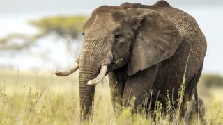 Son dakika: &Ouml;n&uuml;ne geleni &ouml;ld&uuml;r&uuml;yor! G&uuml;nlerdir bir t&uuml;rl&uuml; bulunamadı