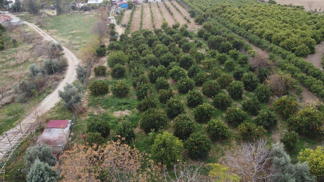 Para etmeyince kaynattılar! 300 TL den satışta Talep bol Tonlarca üretiliyor 8