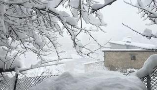 Hakkari&lsquo;de 353 yerleşim yeri kapandı