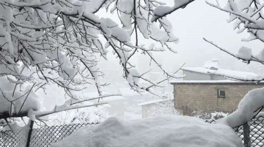 Hakkari&lsquo;de 353 yerleşim yeri kapandı