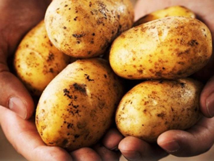 Patateste rekolte artışı bekleniyor