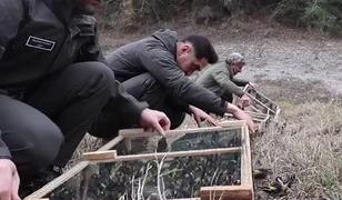 Adana'da denetimlerde ele ge&ccedil;irilen 400 saka kuşu doğaya salındı