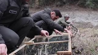 Son dakika: Adana'da denetimlerde ele ge&ccedil;irilen 400 saka kuşu doğaya salındı