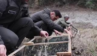 Adana'da denetimlerde ele geçirilen 400 saka kuşu doğaya salındı