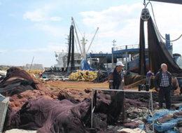 Bakanlık açıkladı! Yarından itibaren yasak