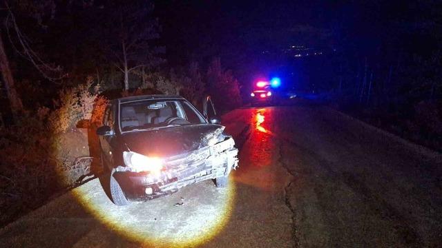 Bilecik’te kontrolden çıkan otomobil ağaca çarptı: 1 yaralı
