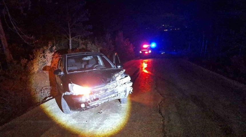 Bilecik&rsquo;te kontrolden &ccedil;ıkan otomobil ağaca &ccedil;arptı: 1 yaralı
