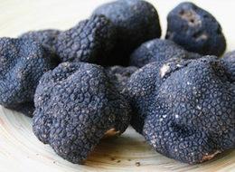 Kilosu 1000 euro! İlk hasadı 2018'de