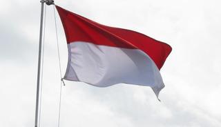 Endonezya Grok'u ge&ccedil;ici olarak engelledi