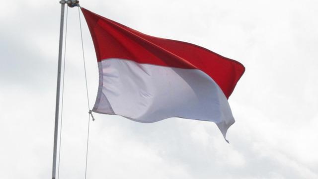 Endonezya Grok'u geçici olarak engelledi