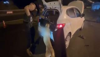 Koltuk başlığına gizlenmiş uyuşturucu ele ge&ccedil;irildi; 4 g&ouml;zaltı