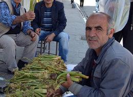 Yayla muzu tezgahlara indi