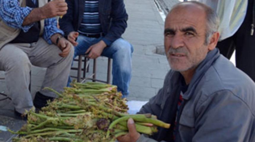 Yayla muzu tezgahlara indi