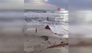 Yer: Silivri! Soğuk hava ve lodosa aldırış etmeden denize girdi