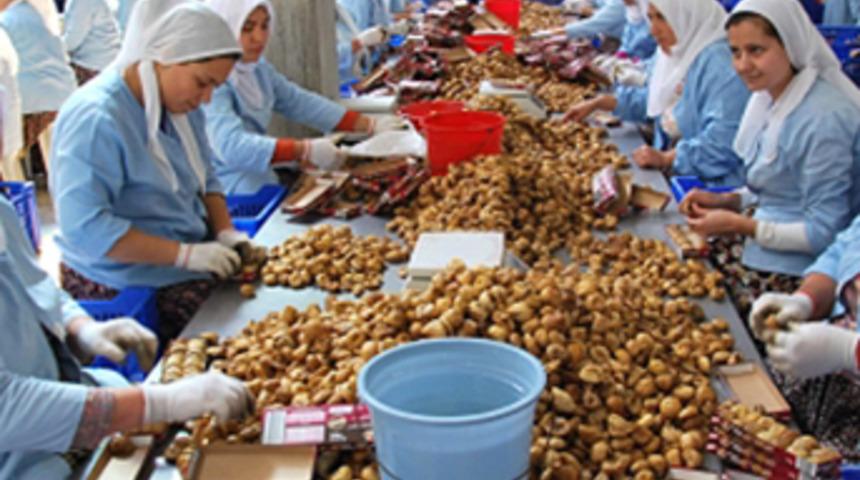 Türkiye incirde dünya ikincisi