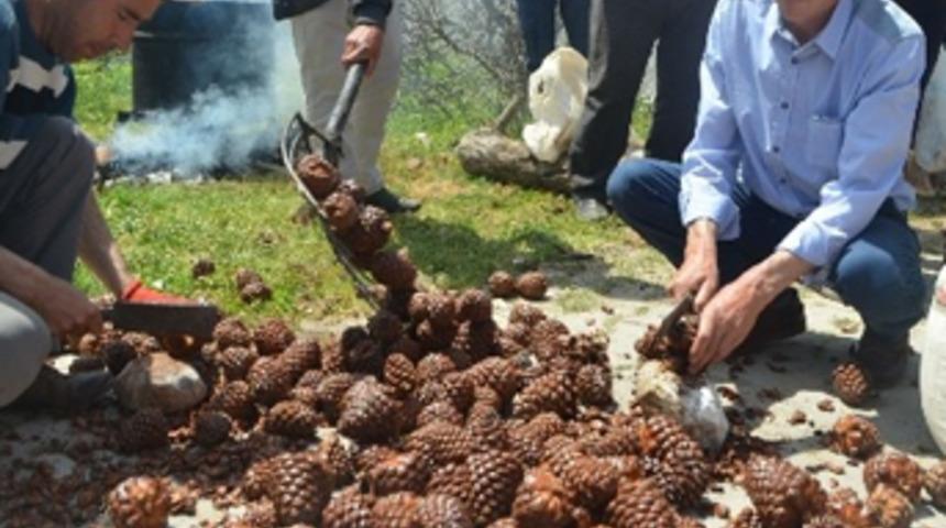 100 kilodan 1,5 kilo çıkıyor, kilosu 120 TL!