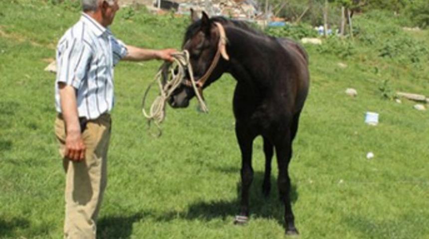 5 bin lira maaşlı at çobanı, ilk atını buldu
