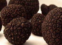 Trüf mantarı: Siyah elmasın peşinde
